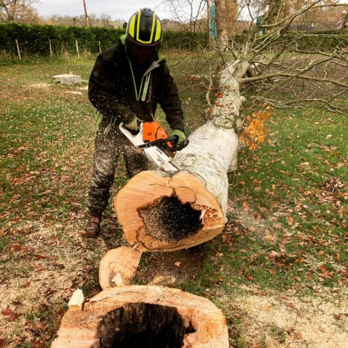 Treewerx – All aspects of tree work undertaken 07722 446664